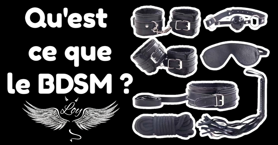 Qu'est ce que le BDSM ?